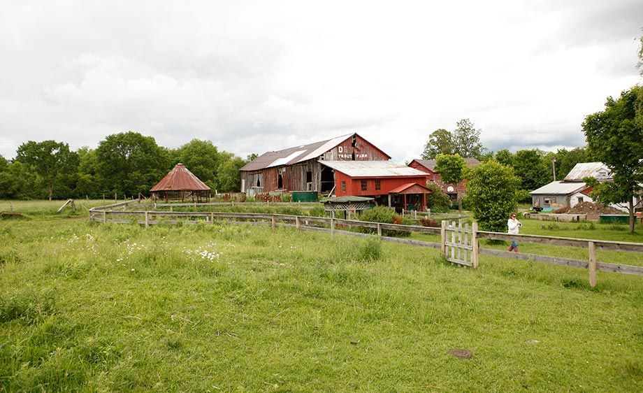 1upstate_ny_barn_farm_scout_8