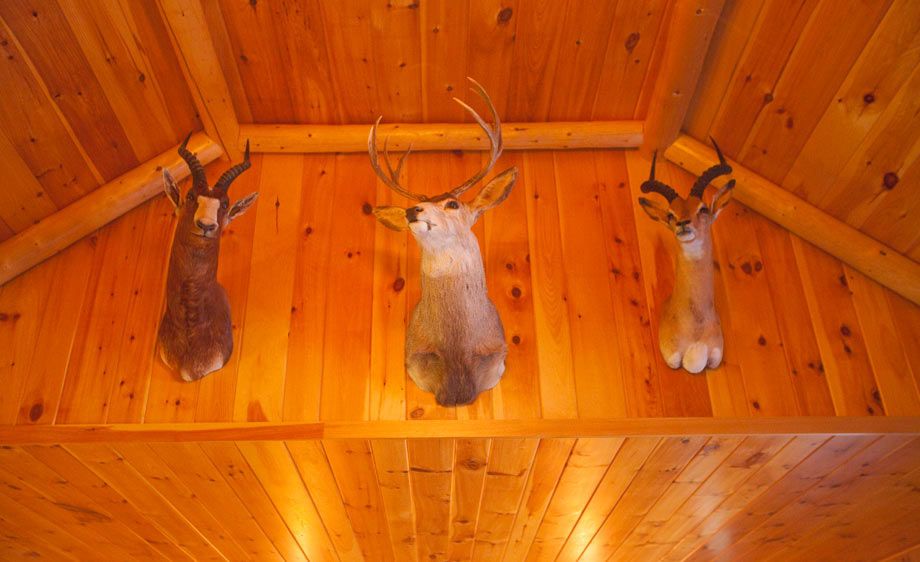 1adirondack_loaction_scout_6_013