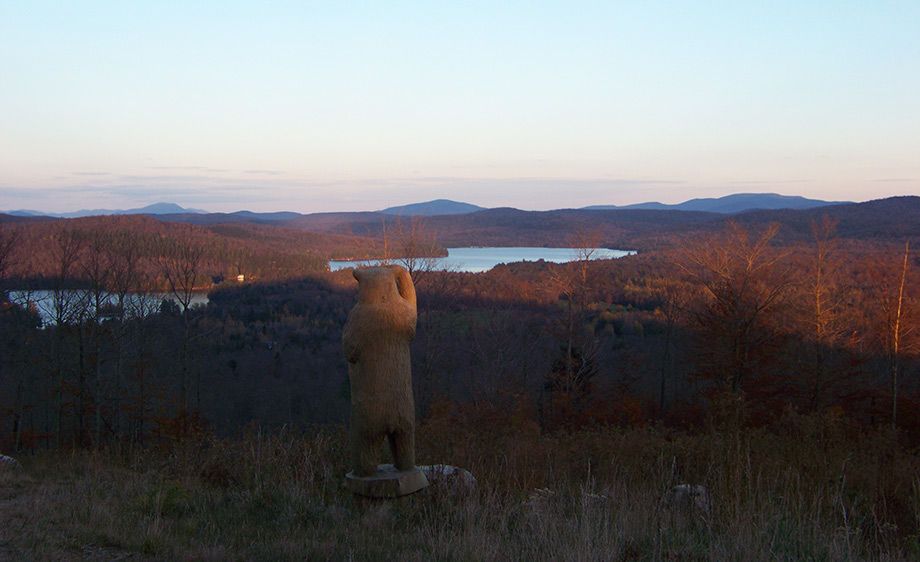 1upstate_ny_cabin_scout_26