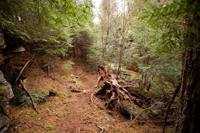 1adirondack_Dry_Canyon106