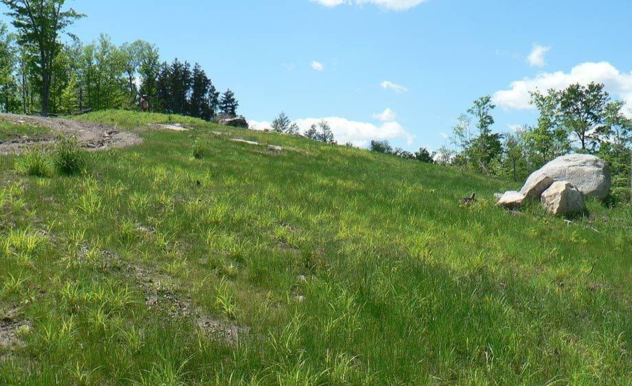 1upstate_ny_cabin_scout_29