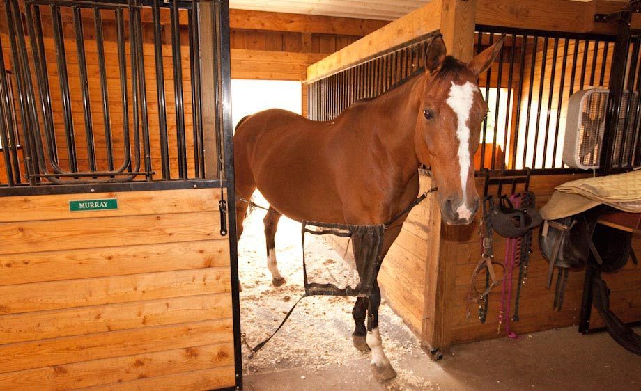 1adirondack_location_scout_21