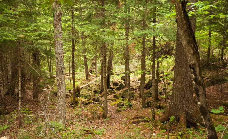 1adirondack_location_scout_2_015