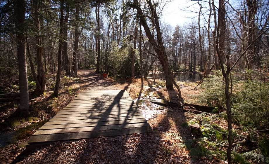 1adirondack_mountain_scouting_54