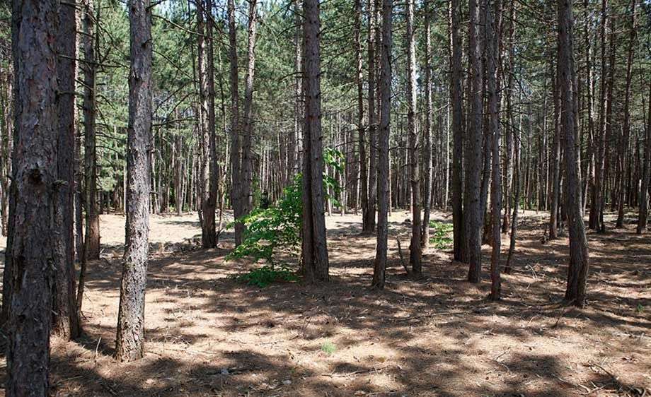 1upstate_ny_film_scout_farm_11