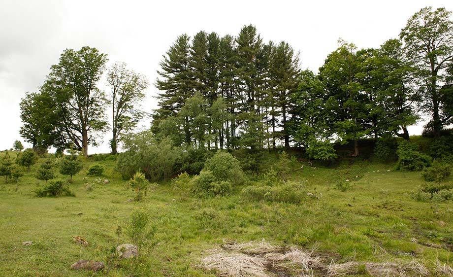 1upstate_ny_barn_farm_scout_16