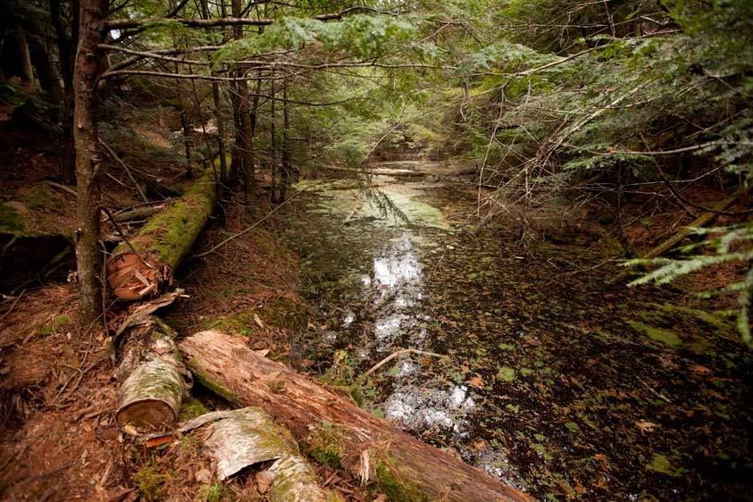 1adirondack_Dry_Canyon103