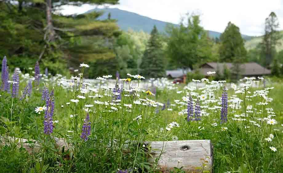 1filming_adirondacks_1
