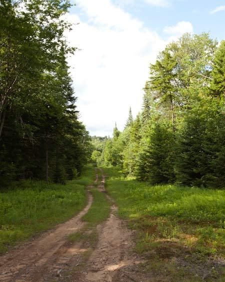 1mountain_loaction_scout_6_018