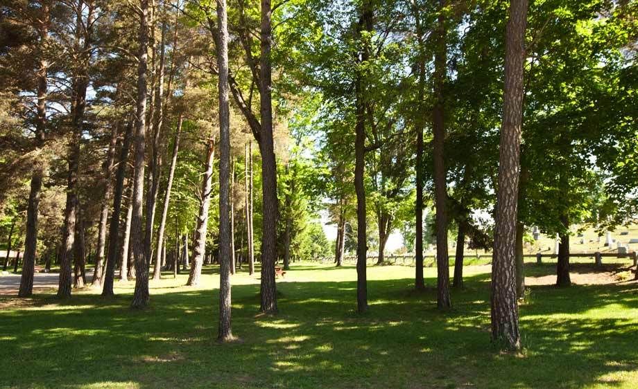 1adirondack_location_rentals_1_020