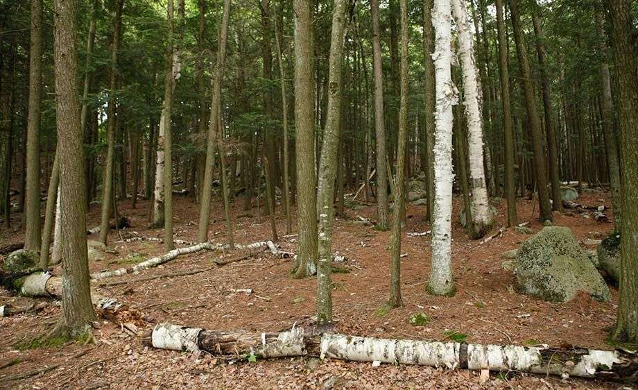 1adirondack_river_ny_filming_12