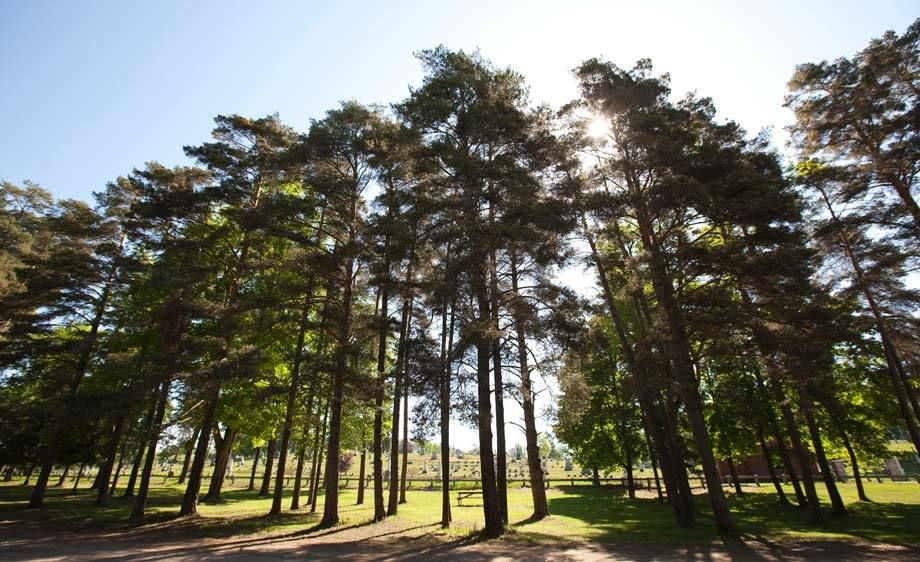 1adirondack_location_rentals_1_021