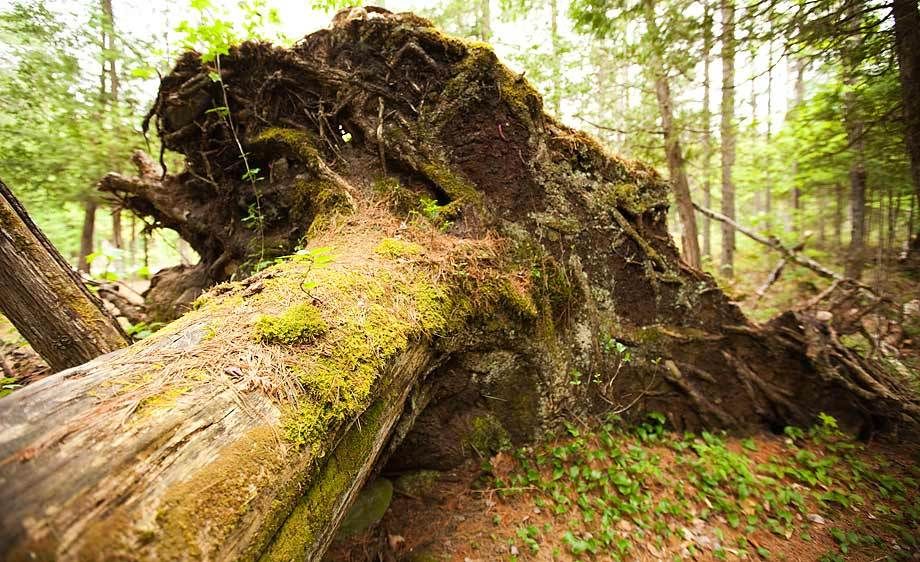 1adirondack_location_scout_2_017