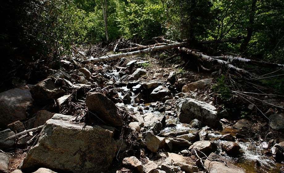 1film_in_the__adirondacks_25