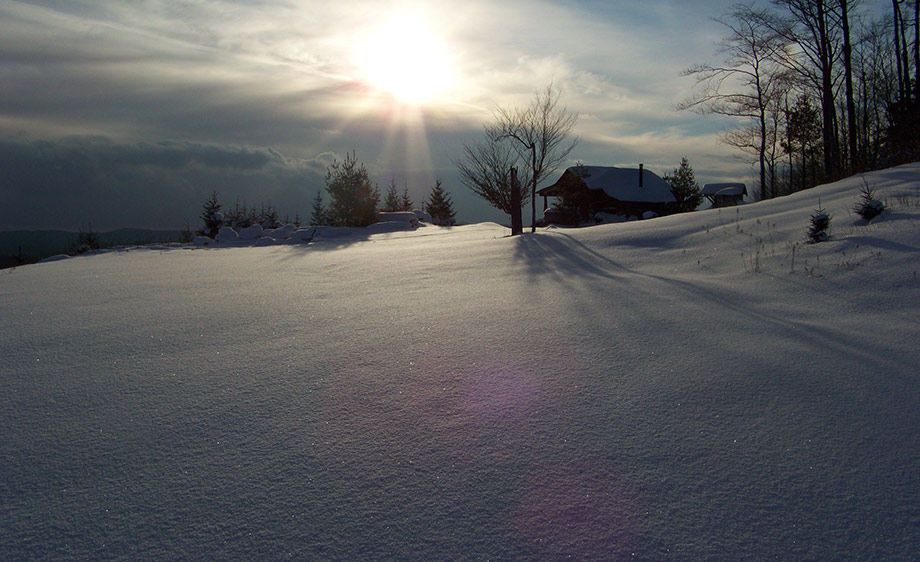 1upstate_ny_cabin_scout_27