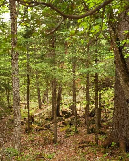 1adirondack_location_scout_2_014