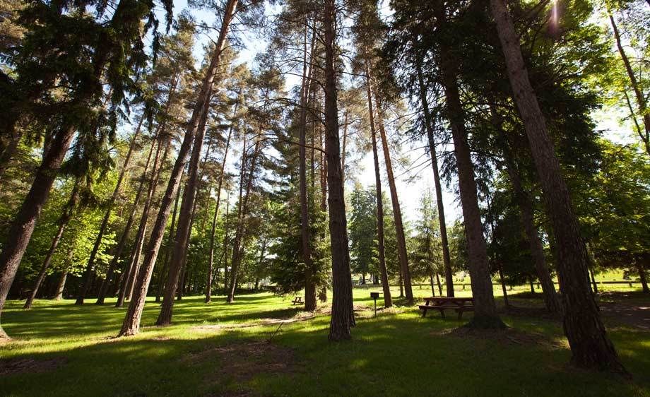 1adirondack_location_rentals_1_023