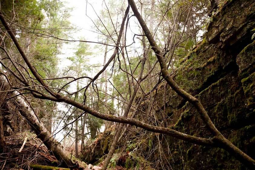 1adirondack_Dry_Canyon86