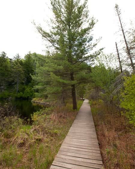 1Adirondack_lacation_scout_NL_20