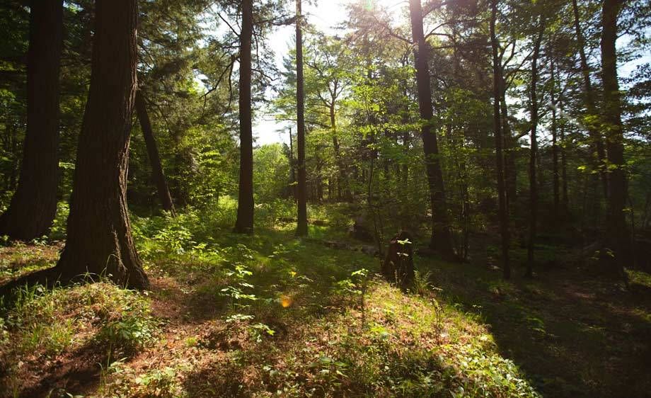 1Adirondack_location_scout_ML_27