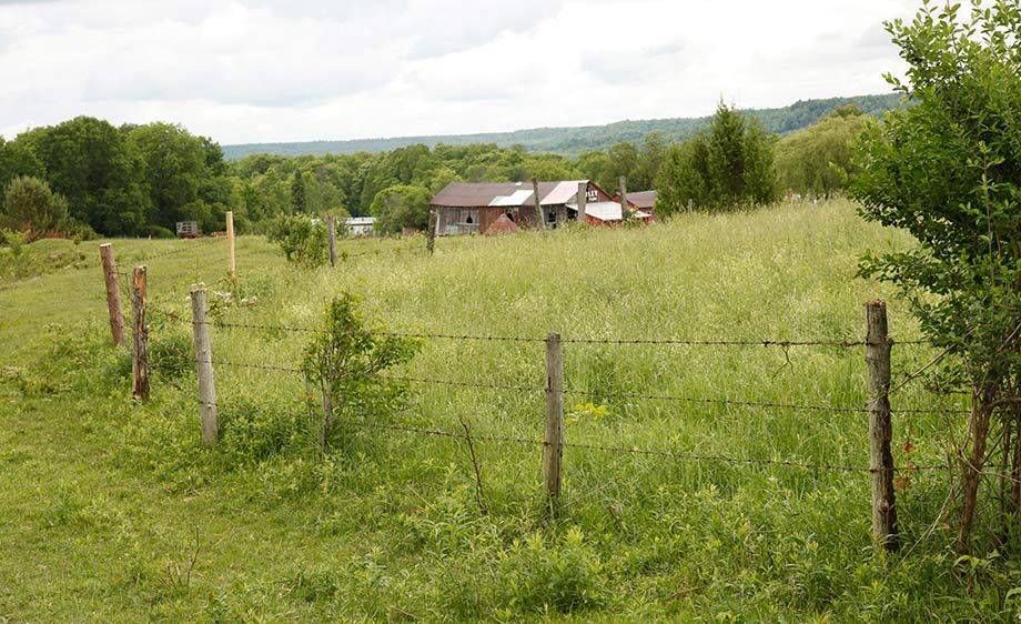 1upstate_ny_barn_farm_scout_14