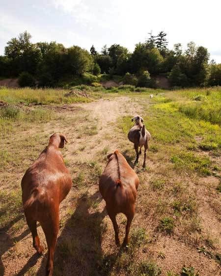 1adirondack_location_scout_51