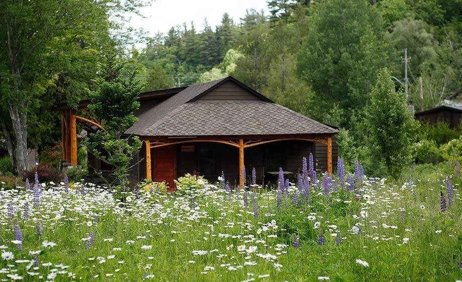 1scouting_in_the_adirondacks_18