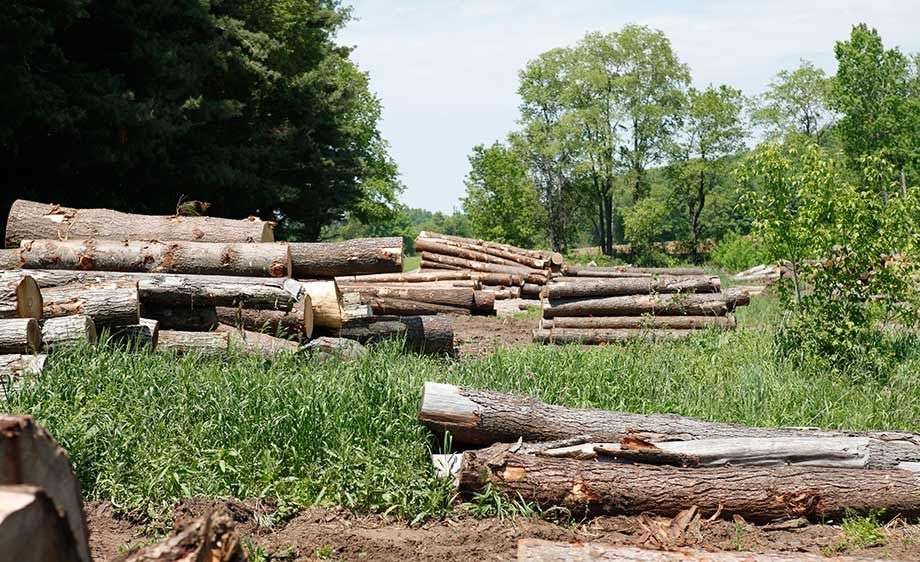 1upstate_ny_film_scout_farm_33