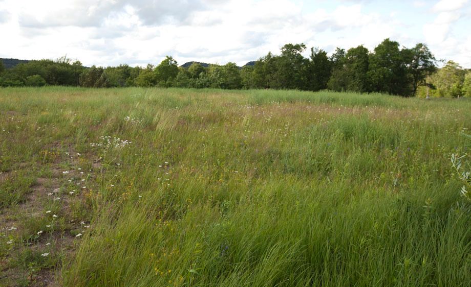 1adirondack_location_scout_1_012