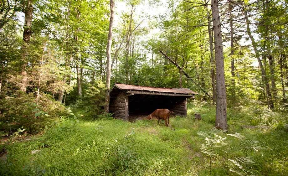 1adirondack_location_scout_63