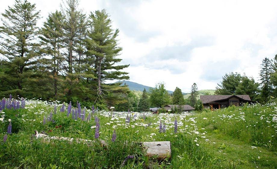 1film_in_the__adirondacks5