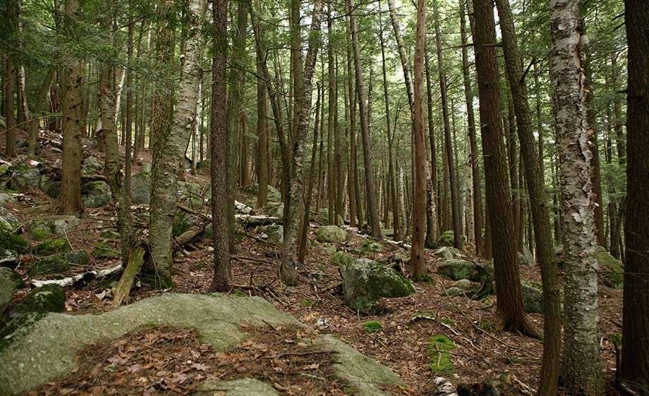 1adirondack_river_ny_filming_8