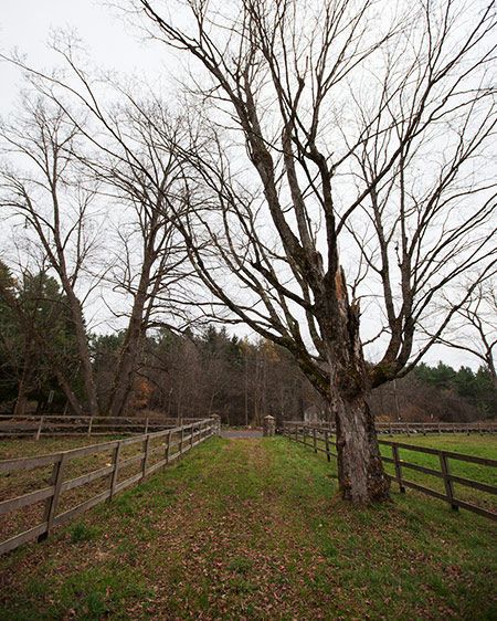 1upstate_farm_house_62