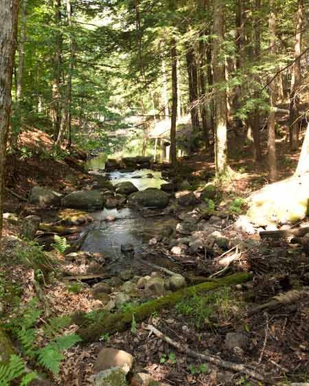 1adirondack_lacation_scout_nl_93