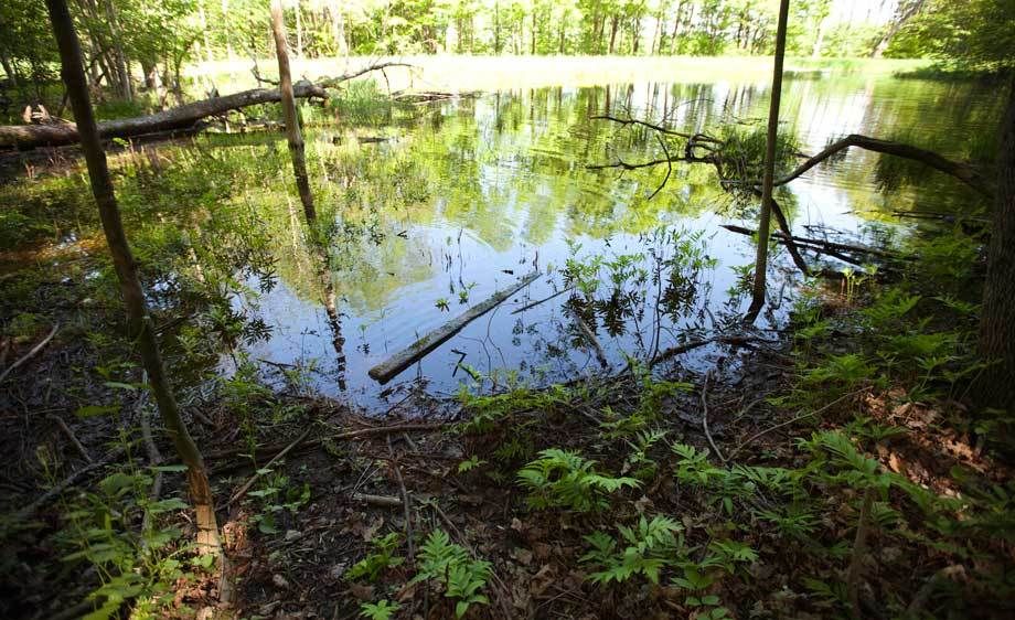 1adirondack_location_rentals_1_032