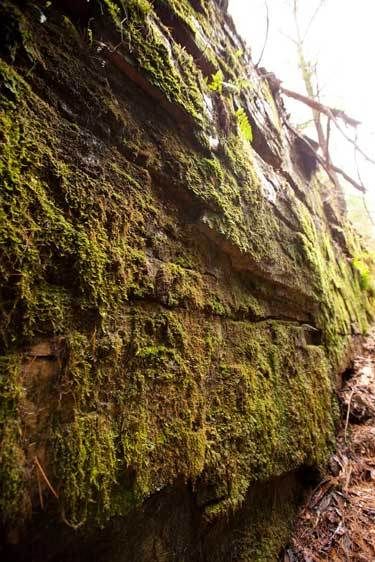 1adirondack_Dry_Canyon79