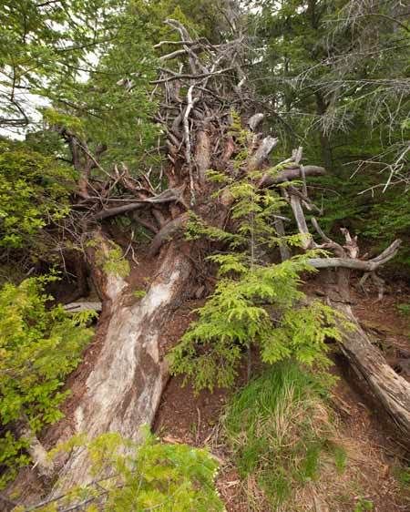 1Adirondack_lacation_scout_NL_27