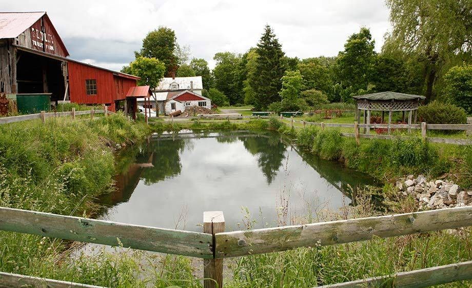 1upstate_ny_barn_farm_scout_18