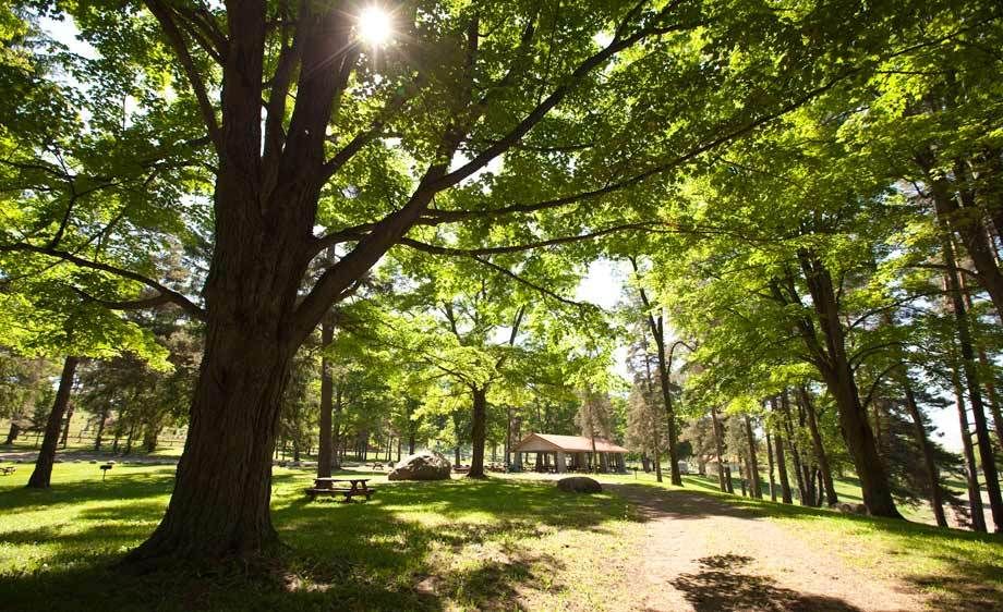 1adirondack_location_rentals_1_035