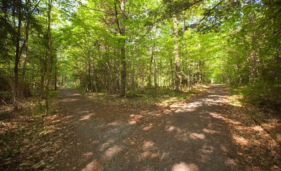 1Adirondack_location_scout_ML_17