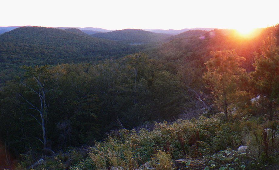 1upstate_ny_cabin_scout_30