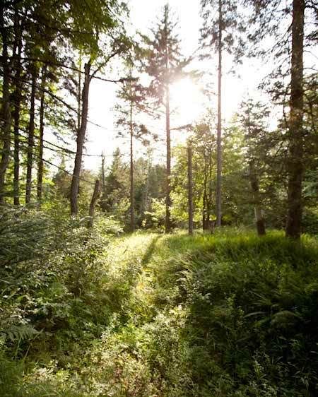 1adirondack_location_scout_66