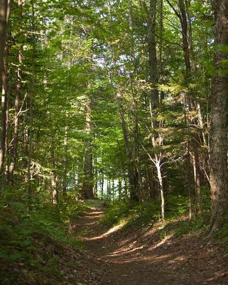 1Adirondack_location_scout_ML