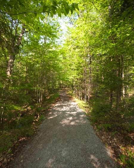 1Adirondack_location_scout_ML_16