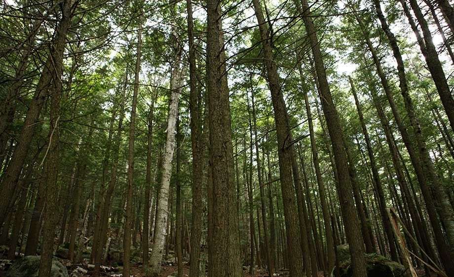 1adirondack_river_ny_filming_11