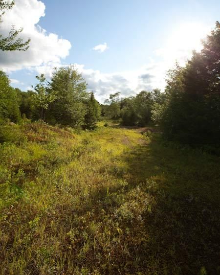 1mountain_loaction_scout_6_083