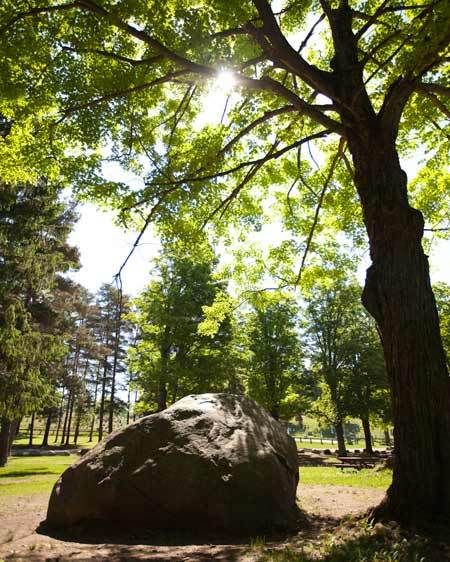 1adirondack_location_rentals_1_036