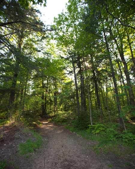 1Adirondack_location_scout_ML_8