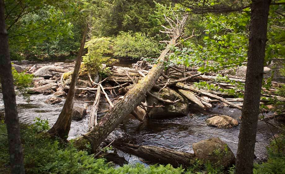 1Adirondack_Great_Camps_49