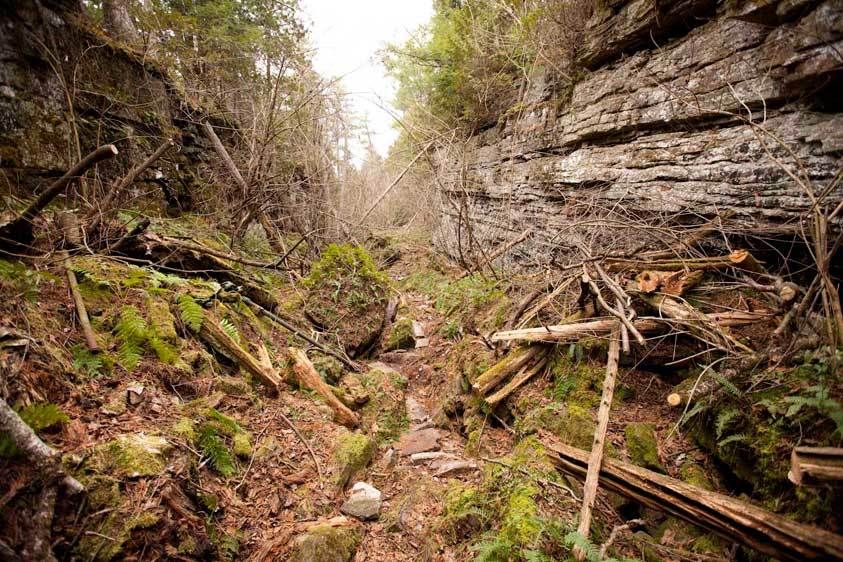 1adirondack_Dry_Canyon97